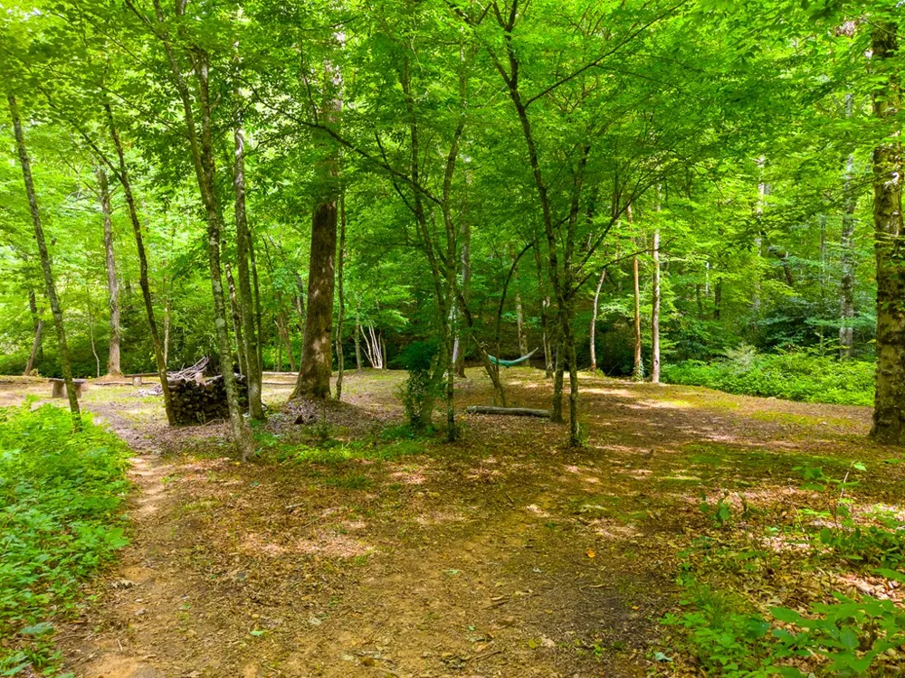 Cedar Creek Farm Rd Tuckasegee, NC 28783