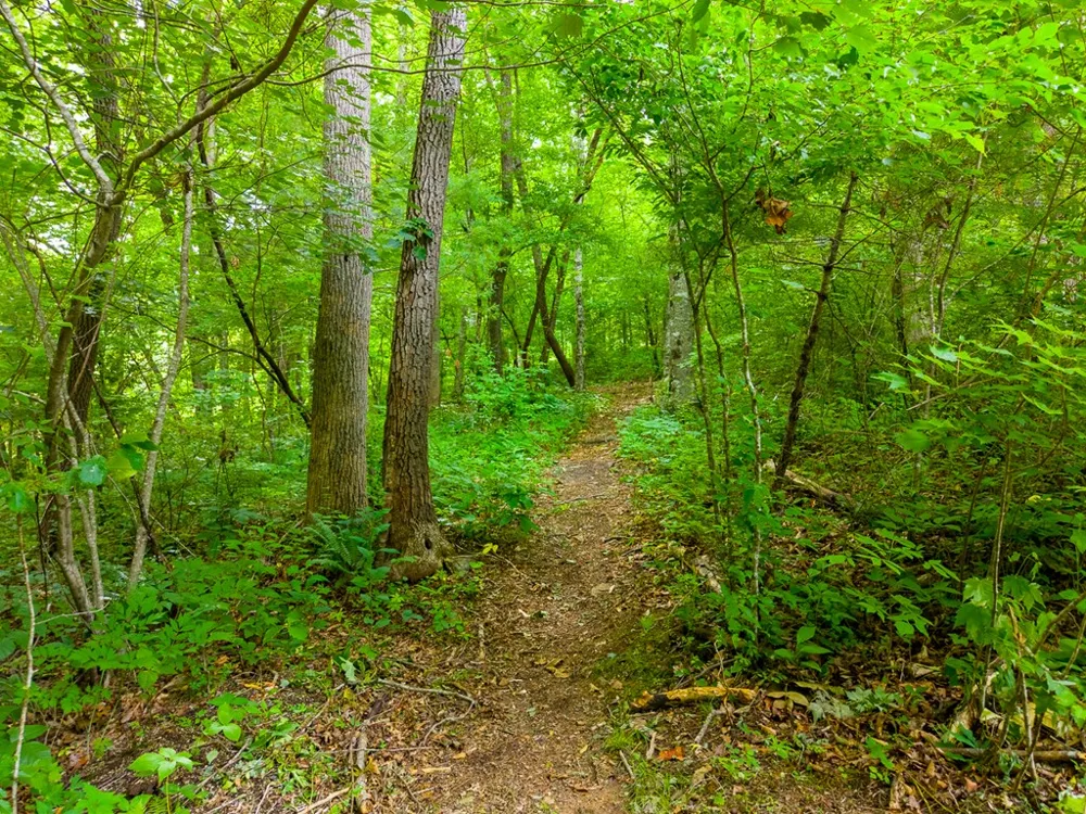 Cedar Creek Farm Rd Tuckasegee, NC 28783