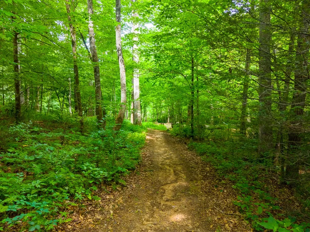 Cedar Creek Farm Rd Tuckasegee, NC 28783