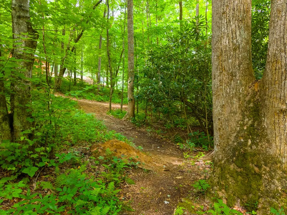 Cedar Creek Farm Rd Tuckasegee, NC 28783