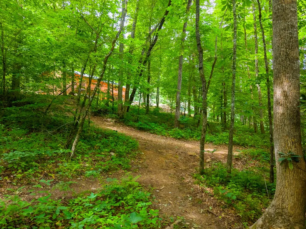 Cedar Creek Farm Rd Tuckasegee, NC 28783
