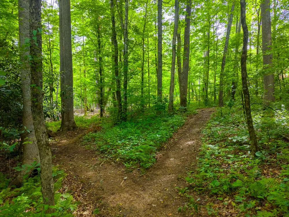 Cedar Creek Farm Rd Tuckasegee, NC 28783