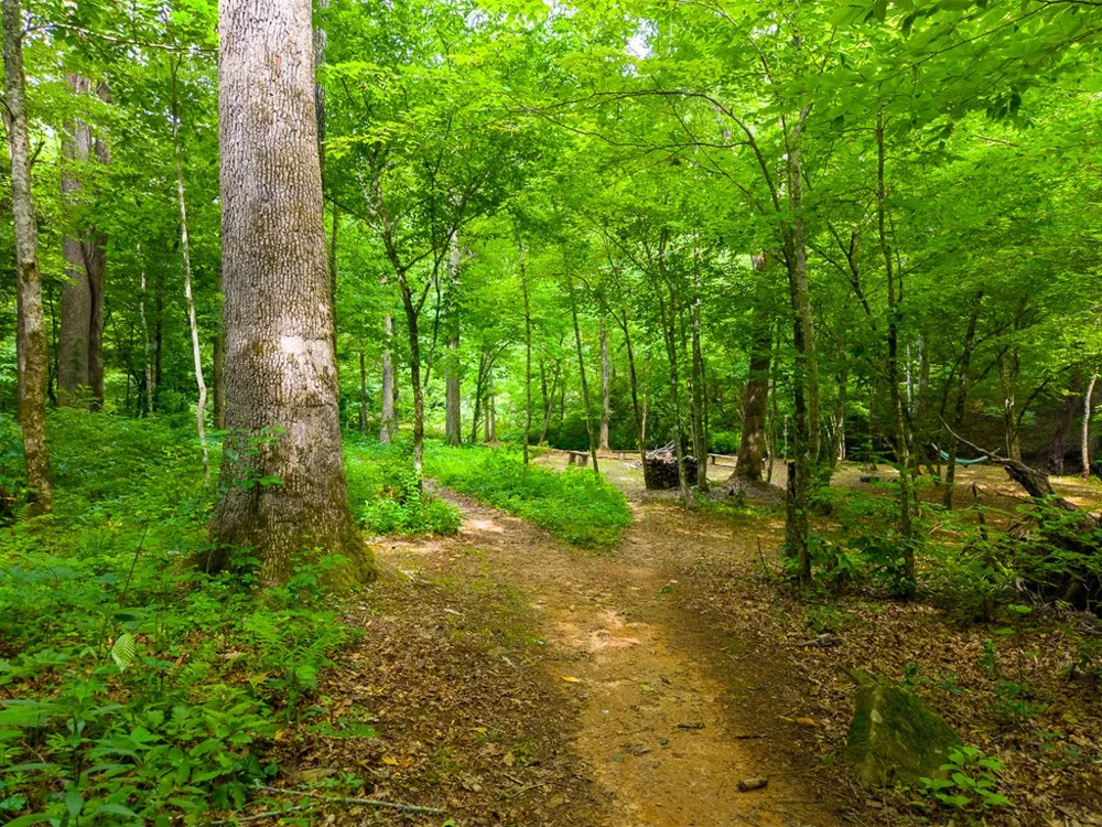 Cedar Creek Farm Rd Tuckasegee, NC 28783