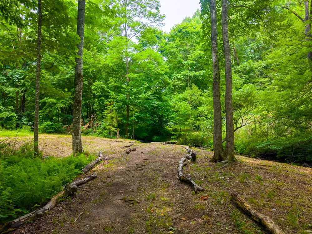 Cedar Creek Farm Rd Tuckasegee, NC 28783