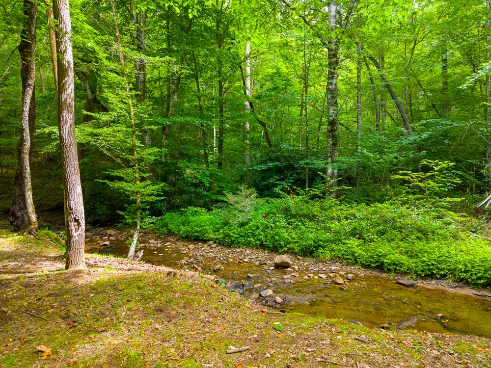 Cedar Creek Farm Rd Tuckasegee, NC 28783