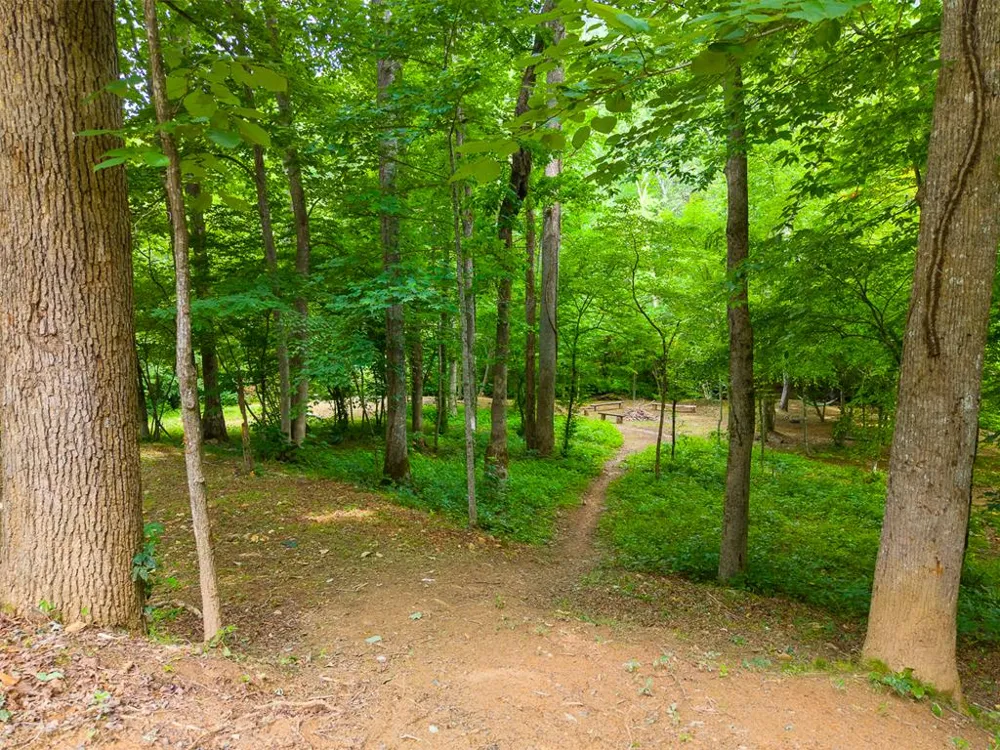 Cedar Creek Farm Rd Tuckasegee, NC 28783