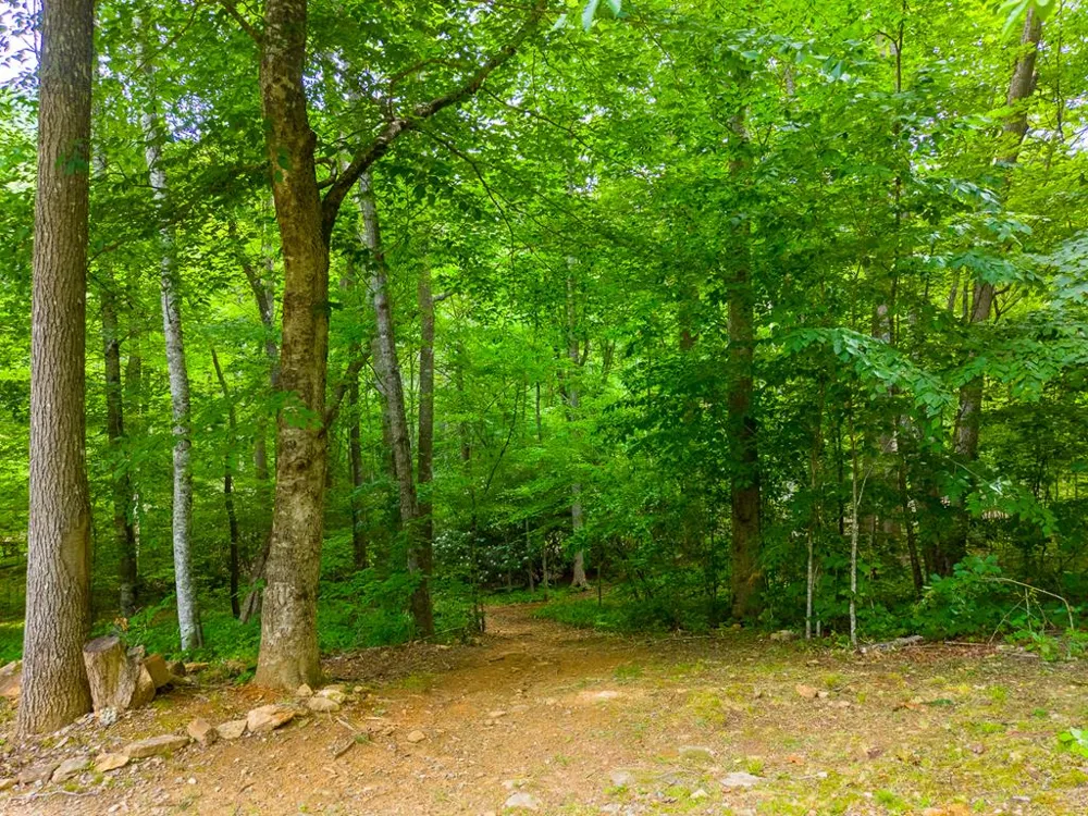 Cedar Creek Farm Rd Tuckasegee, NC 28783