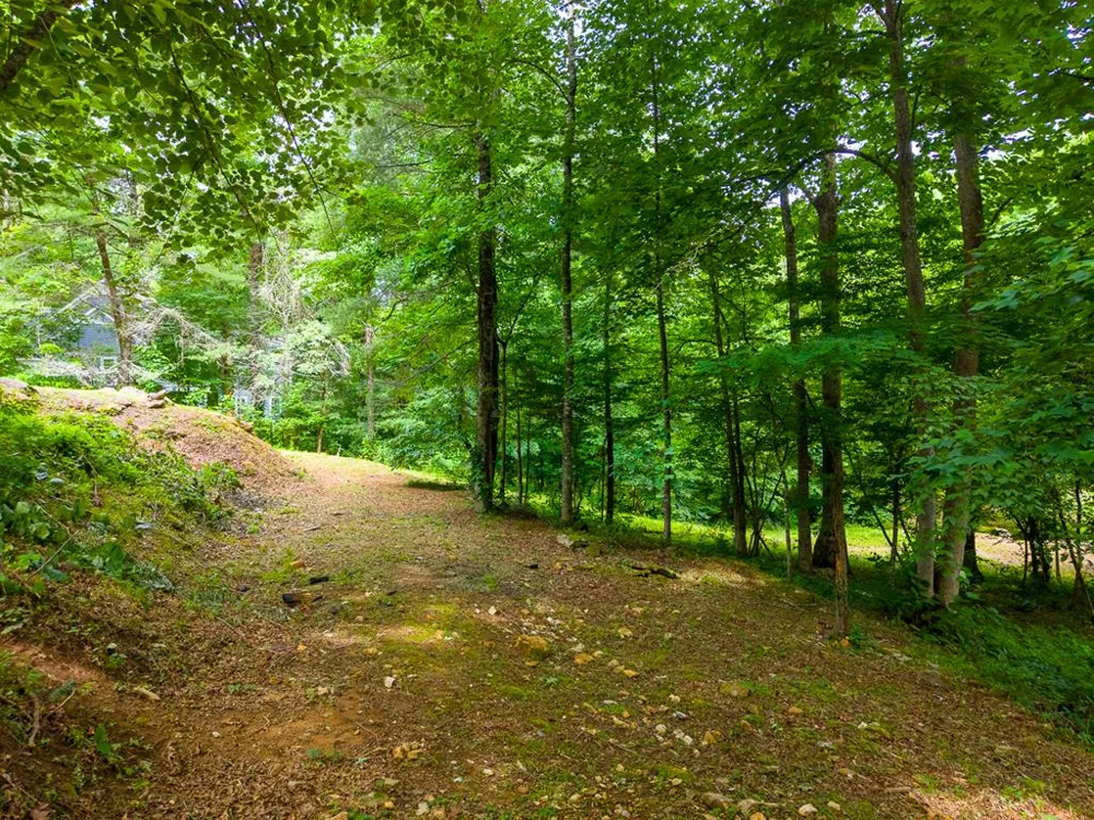 Cedar Creek Farm Rd Tuckasegee, NC 28783