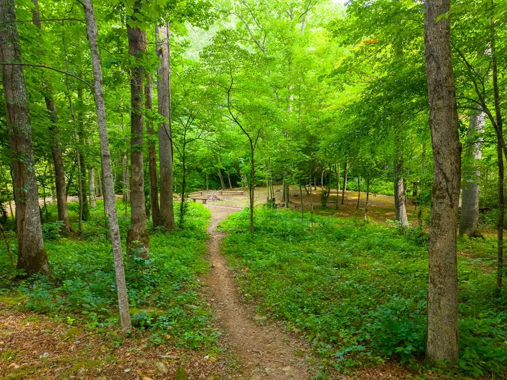 Cedar Creek Farm Rd Tuckasegee, NC 28783