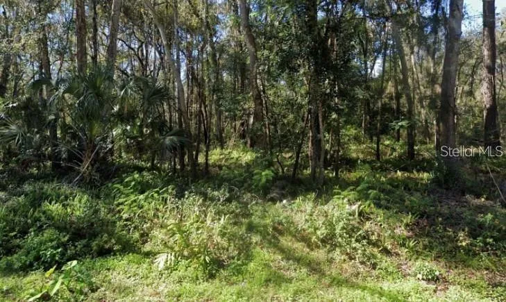 0 ZOLLER STREET Brooksville, FL 34601