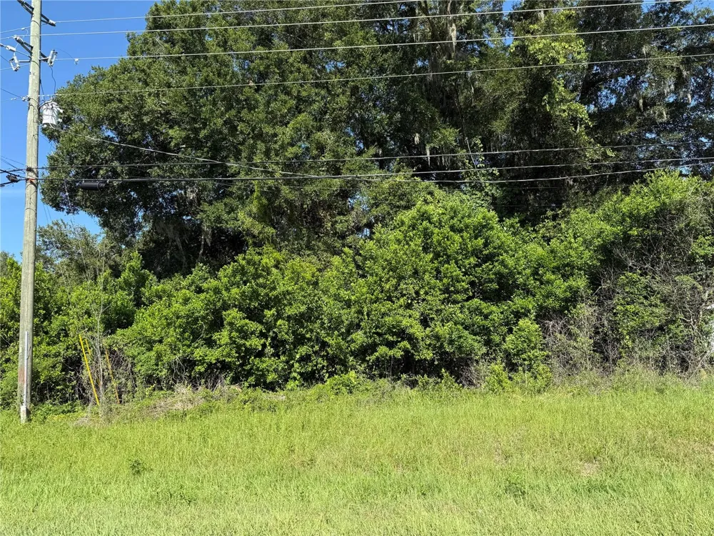 SE 35TH COURT Summerfield, FL 34491
