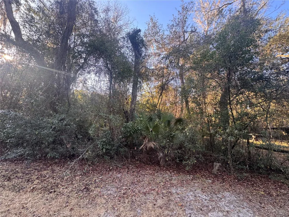 0 198TH LANE Fort Mc Coy, FL 32134