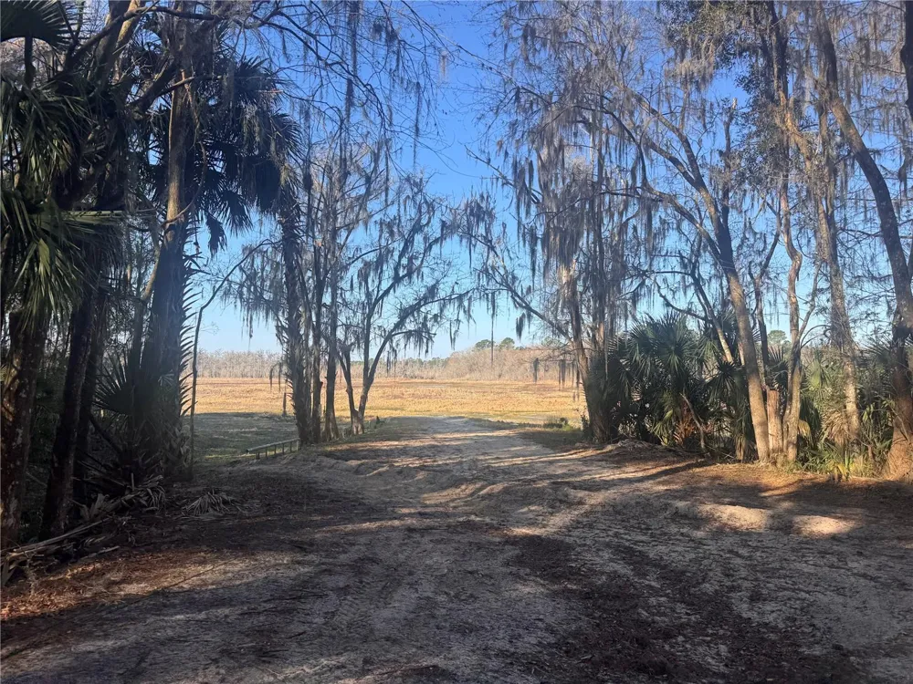 0 198TH LANE Fort Mc Coy, FL 32134