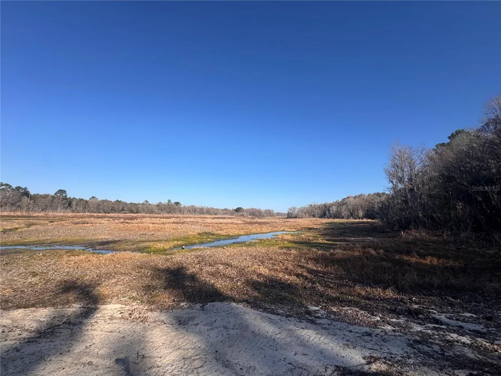 0 198TH LANE Fort Mc Coy, FL 32134