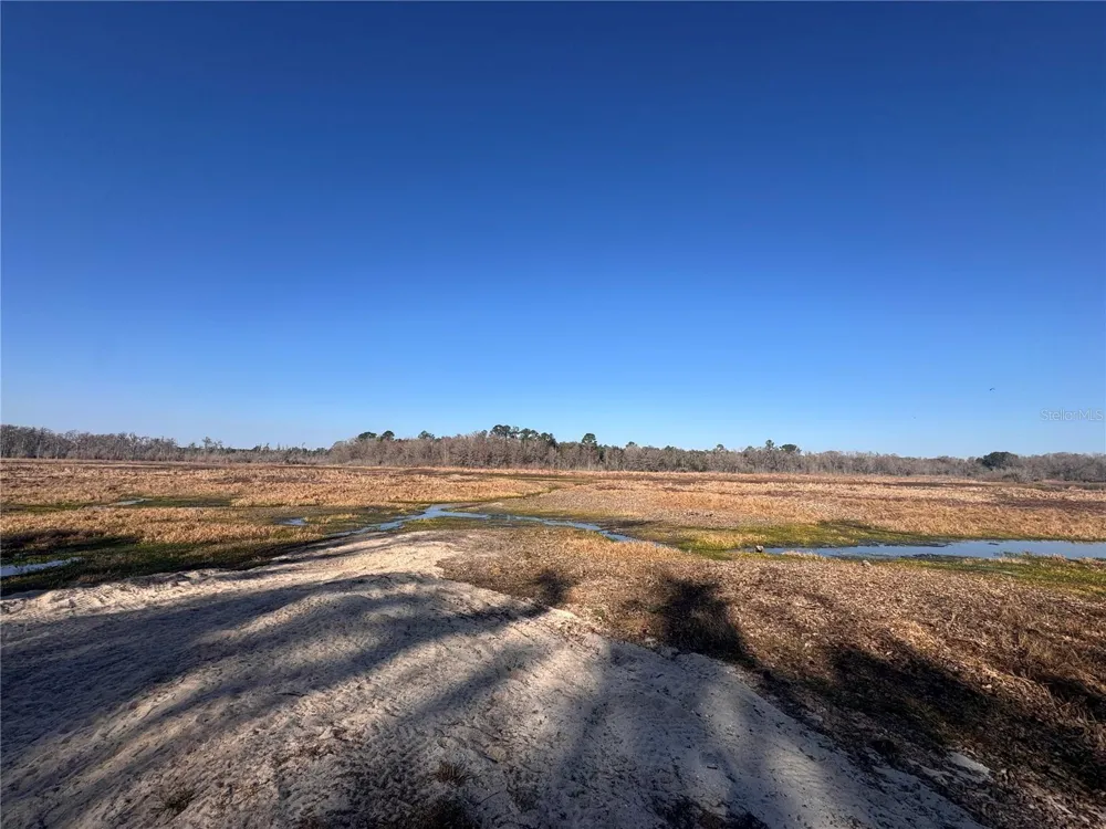 0 198TH LANE Fort Mc Coy, FL 32134