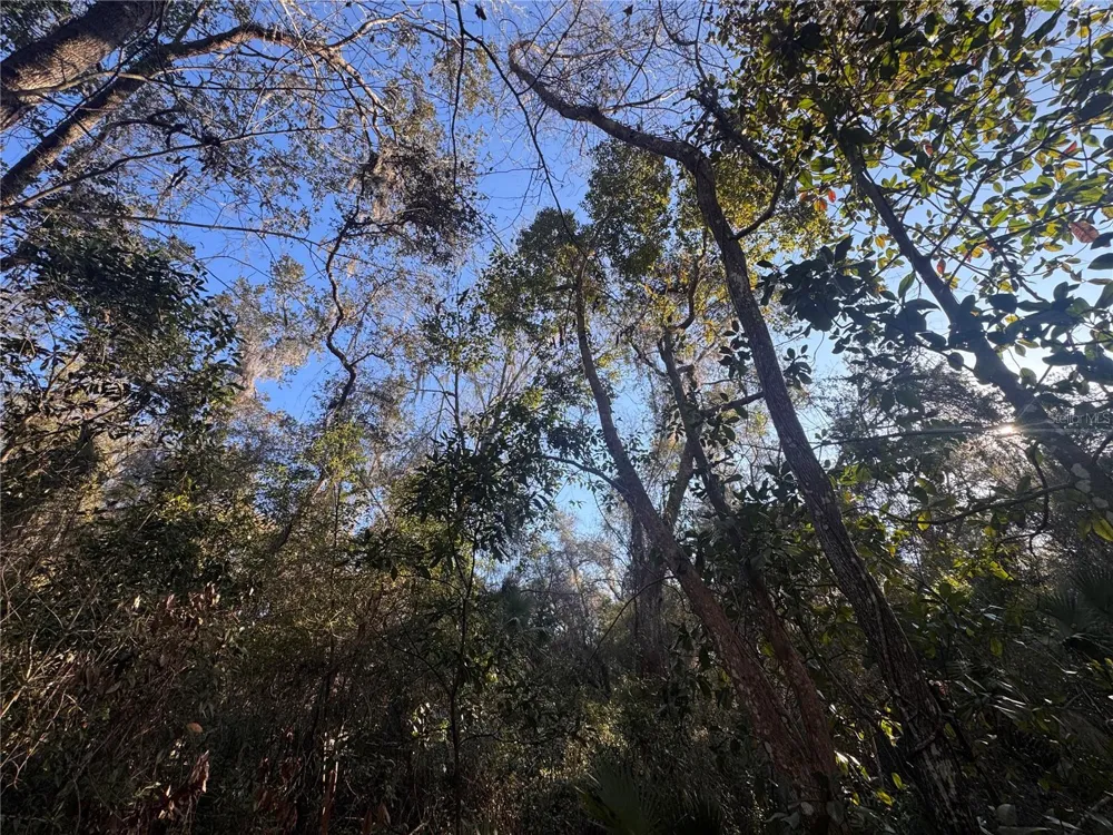 0 198TH LANE Fort Mc Coy, FL 32134