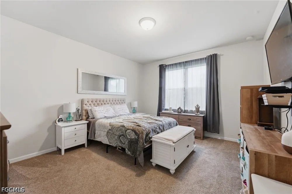 Mistflower Drive Alva, FL 33920