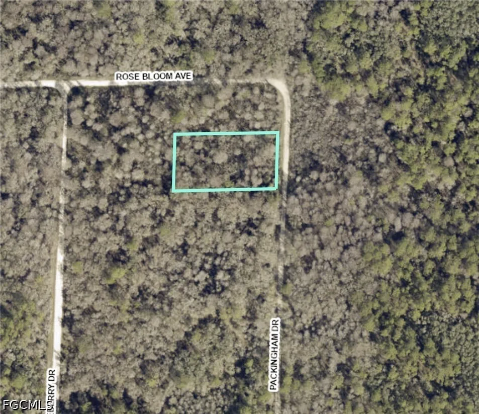 Packingham Drive Webster, FL 33597
