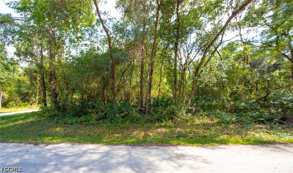 Packingham Drive Webster, FL 33597
