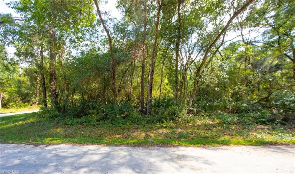 Packingham Drive Webster, FL 33597