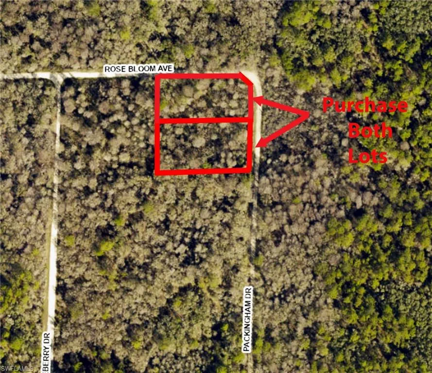 Packingham Drive Webster, FL 33597