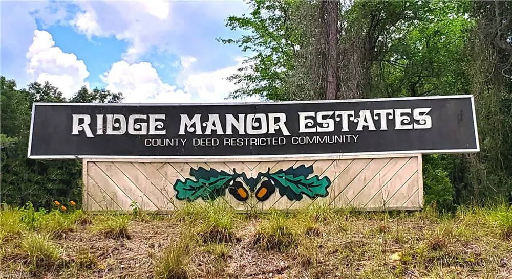 Packingham Drive Webster, FL 33597