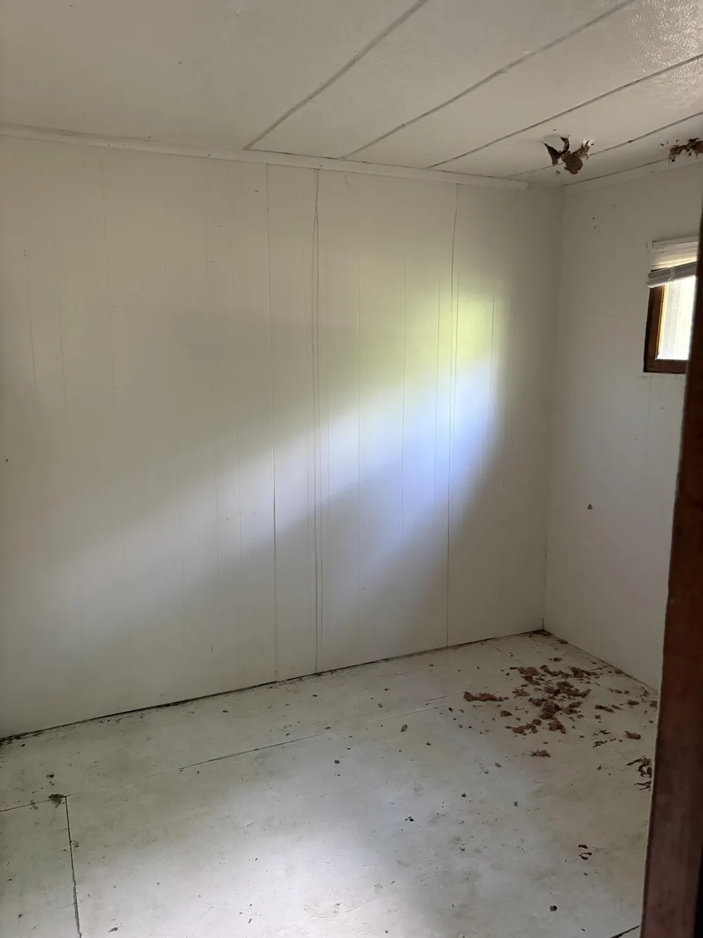 5339 Jerry Street Gladwin, MI 48624