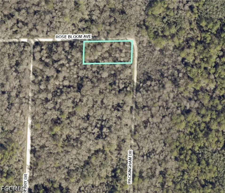 Packingham Drive Webster, FL 33597