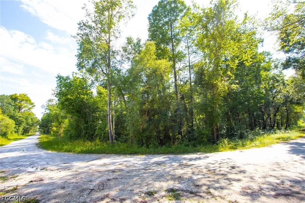 Packingham Drive Webster, FL 33597