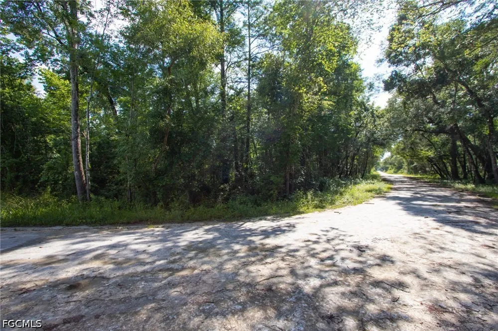 Packingham Drive Webster, FL 33597