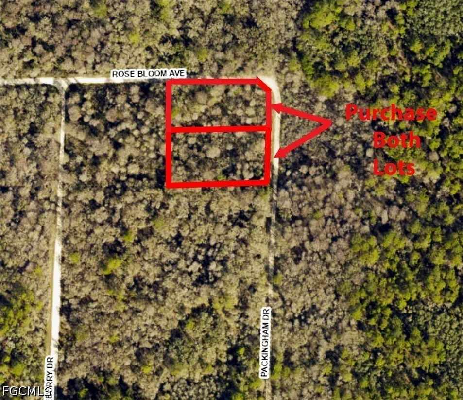 Packingham Drive Webster, FL 33597