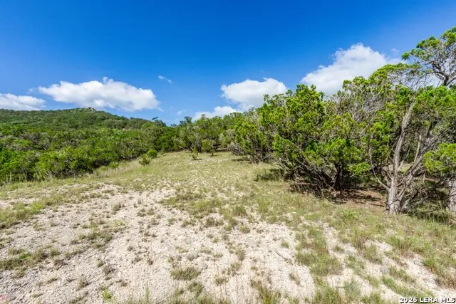 650 Evans Creek Road Vanderpool, TX 78885
