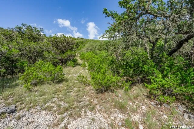 650 Evans Creek Road Vanderpool, TX 78885