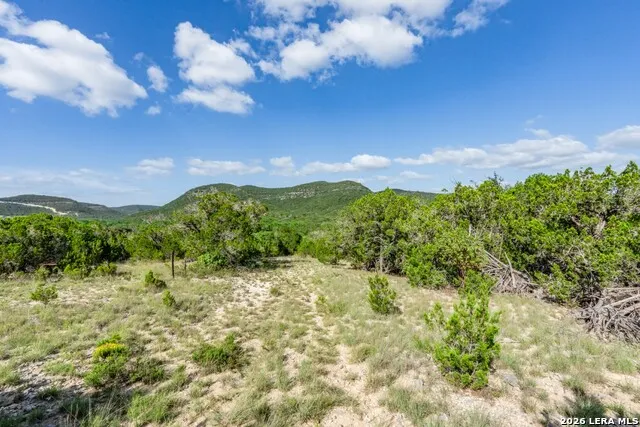 650 Evans Creek Road Vanderpool, TX 78885