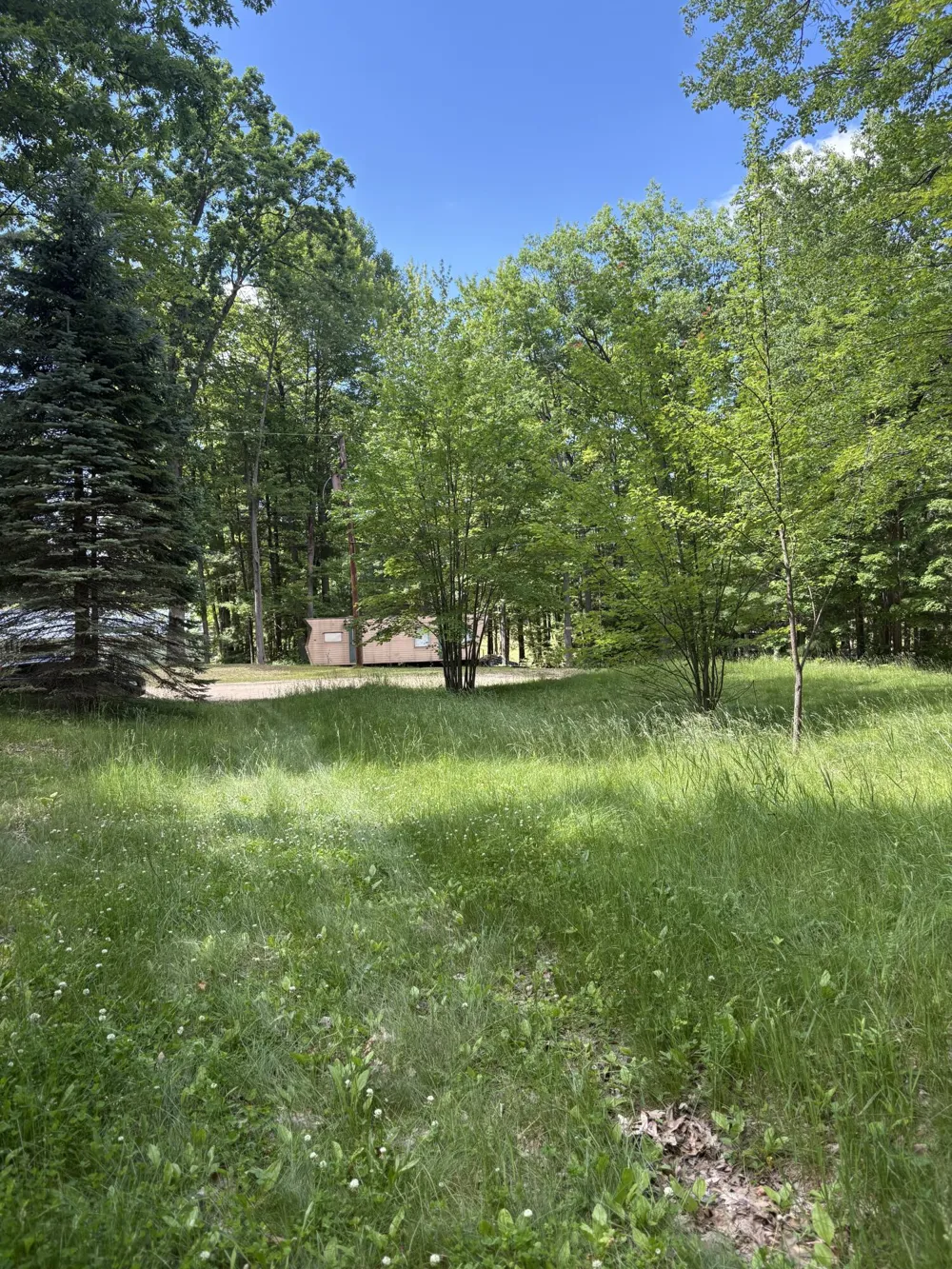 5339 Jerry Street Gladwin Township, MI 48624
