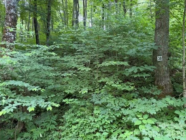 15 Lots Odalu Trail Maggie Valley, NC 28751