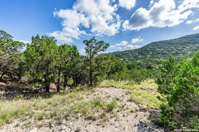 630 Evans Creek Road Vanderpool, TX 78885