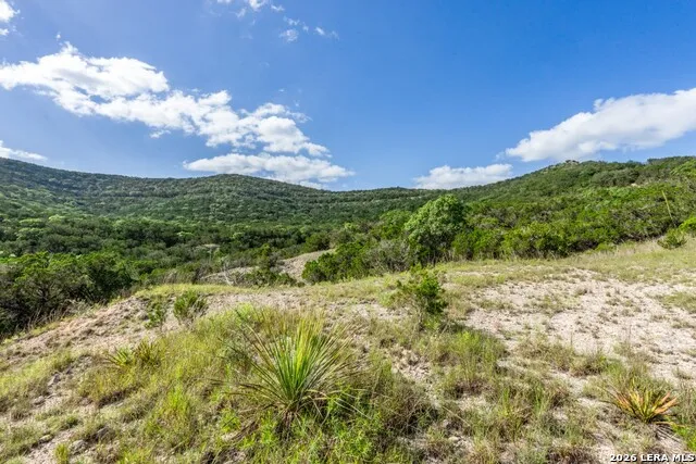 630 Evans Creek Road Vanderpool, TX 78885