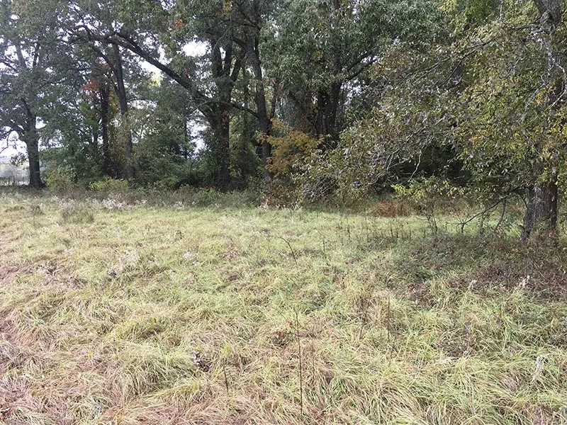 CR 3150 Emory, TX 75440