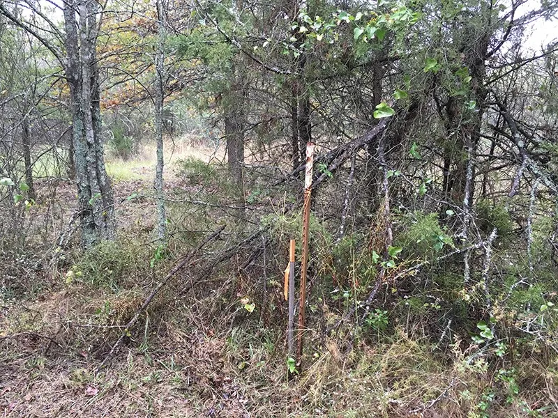 CR 3150 Emory, TX 75440