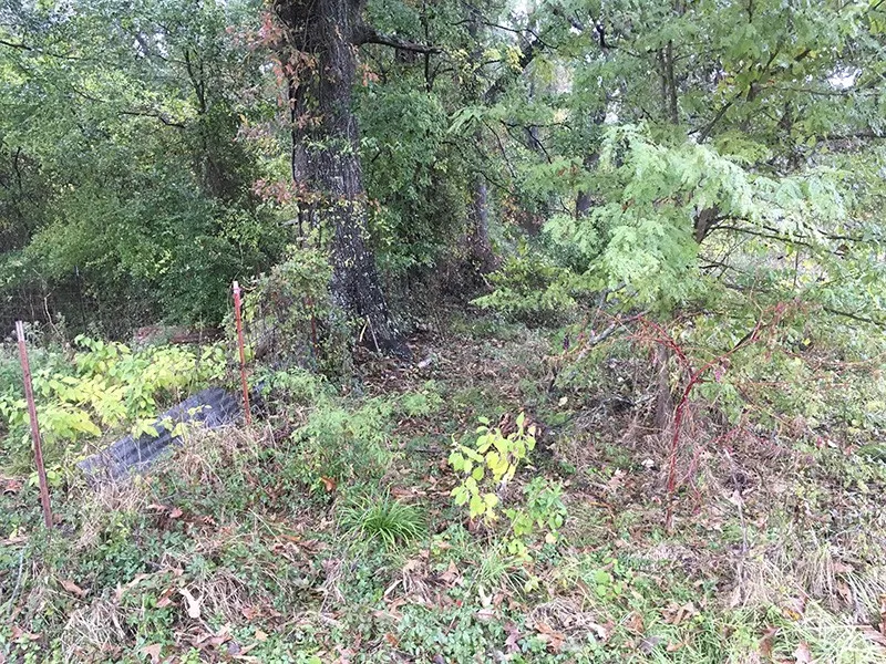 CR 3150 Emory, TX 75440