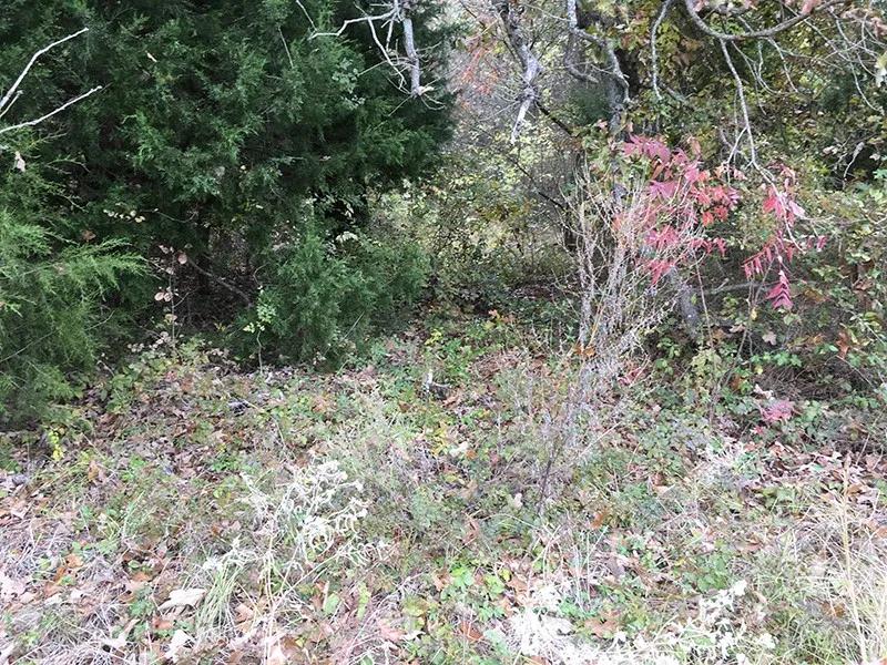 CR 3150 Emory, TX 75440