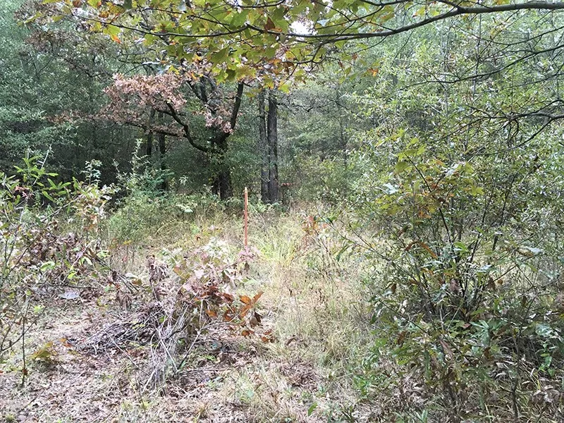 CR 3150 Emory, TX 75440