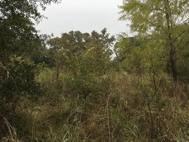CR 3150 Emory, TX 75440