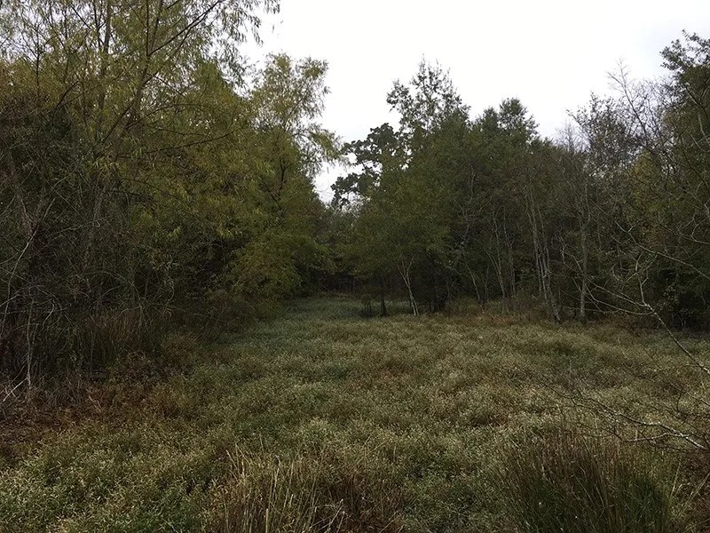 CR 3150 Emory, TX 75440