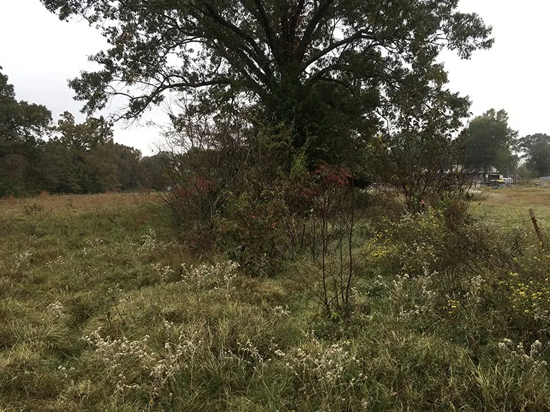 CR 3150 Emory, TX 75440