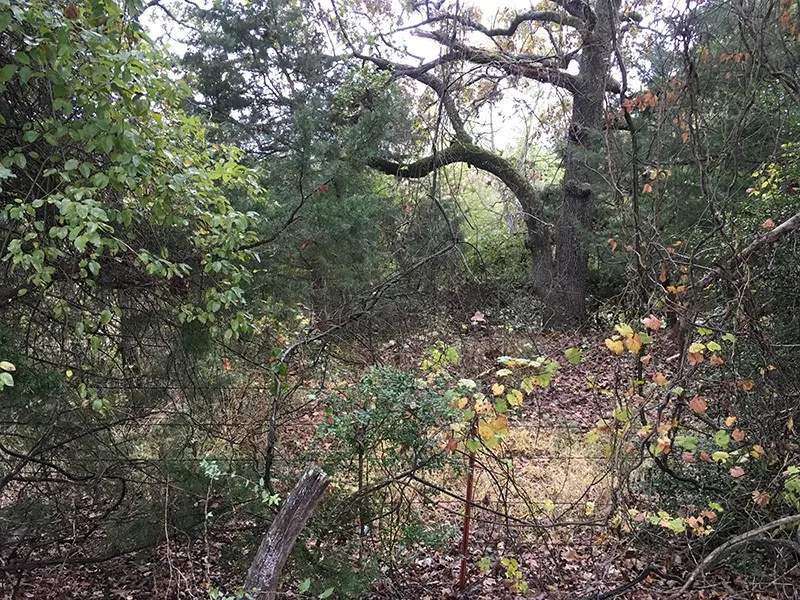 CR 3150 Emory, TX 75440
