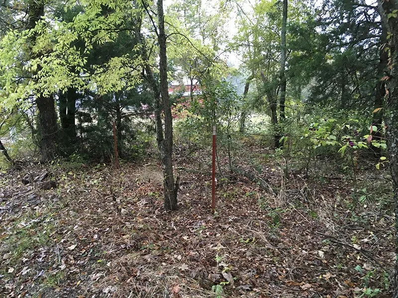 CR 3150 Emory, TX 75440