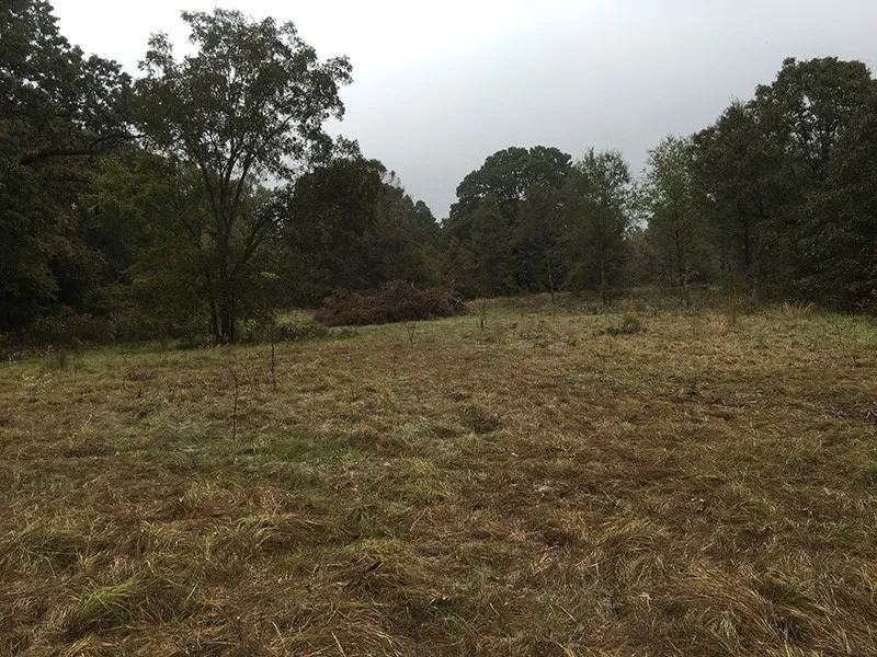 CR 3150 Emory, TX 75440