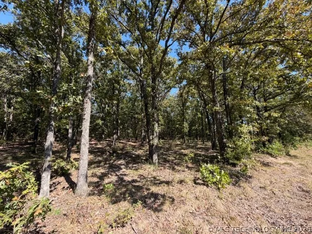 6 Brandy Lane Tishomingo, OK 73460